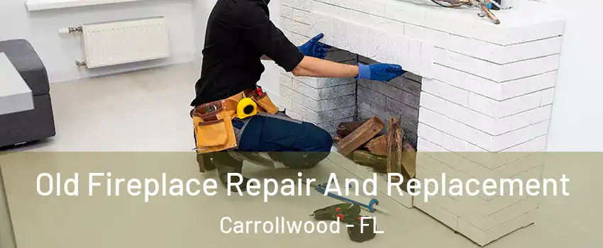  Old Fireplace Repair And Replacement Carrollwood - FL