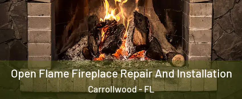  Open Flame Fireplace Repair And Installation Carrollwood - FL