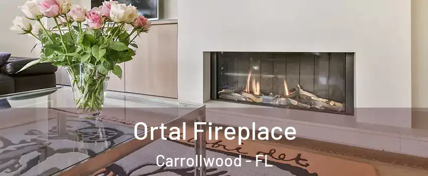 Ortal Fireplace Carrollwood - FL