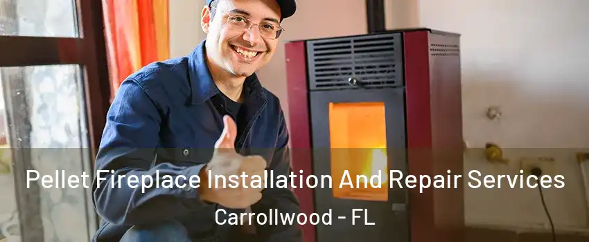  Pellet Fireplace Installation And Repair Services Carrollwood - FL