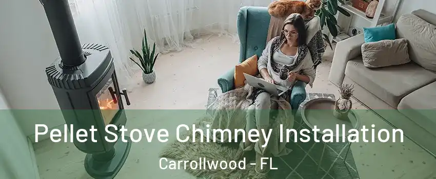  Pellet Stove Chimney Installation Carrollwood - FL