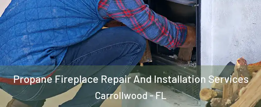  Propane Fireplace Repair And Installation Services Carrollwood - FL