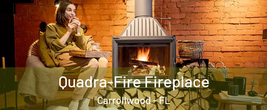  Quadra-Fire Fireplace Carrollwood - FL
