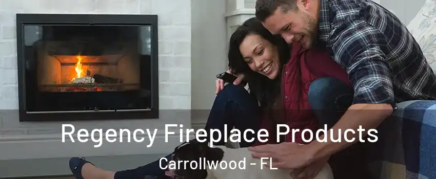  Regency Fireplace Products Carrollwood - FL