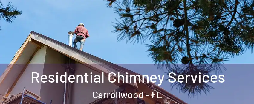  Residential Chimney Services Carrollwood - FL