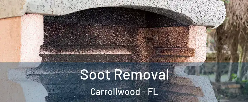 Soot Removal Carrollwood - FL