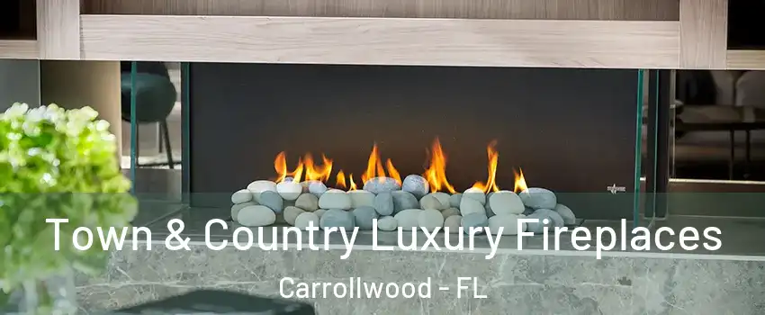 Town & Country Luxury Fireplaces Carrollwood - FL