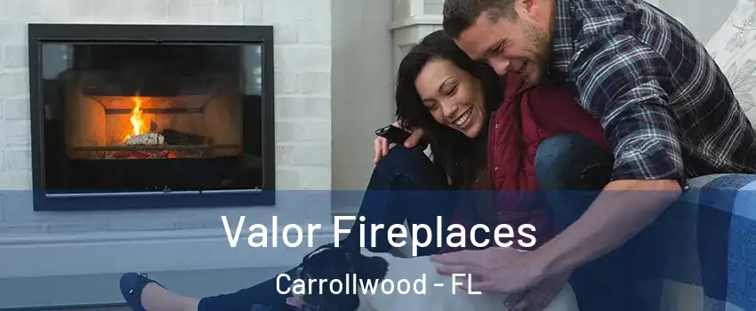  Valor Fireplaces Carrollwood - FL