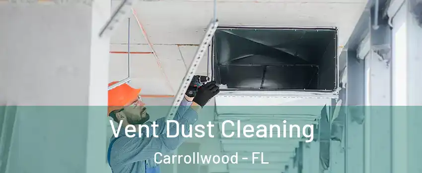  Vent Dust Cleaning Carrollwood - FL