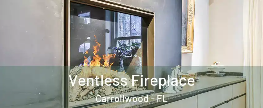  Ventless Fireplace Carrollwood - FL