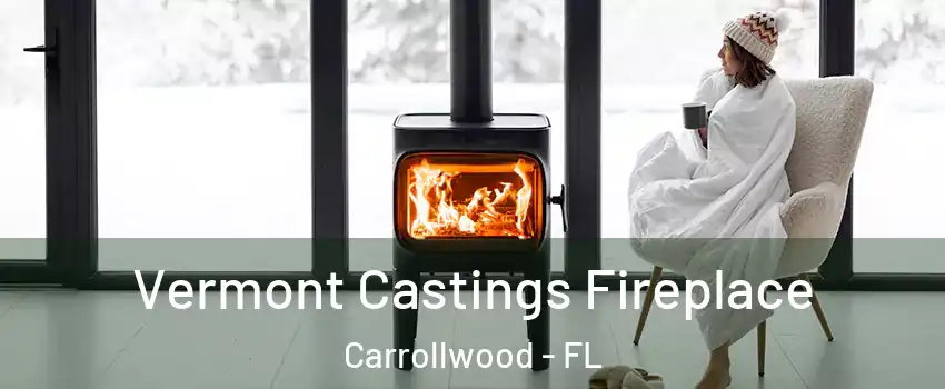  Vermont Castings Fireplace Carrollwood - FL