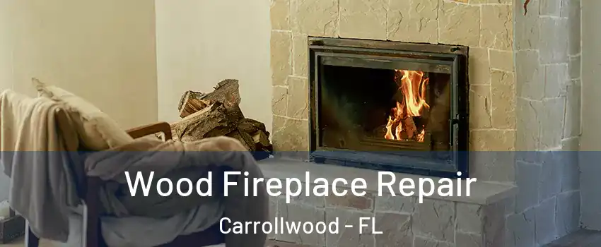  Wood Fireplace Repair Carrollwood - FL