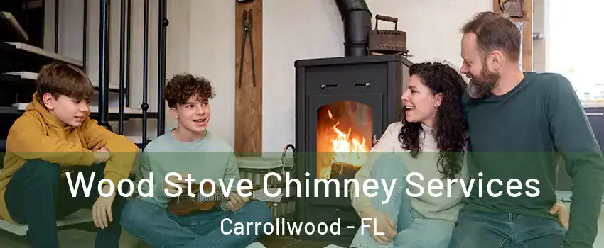  Wood Stove Chimney Services Carrollwood - FL