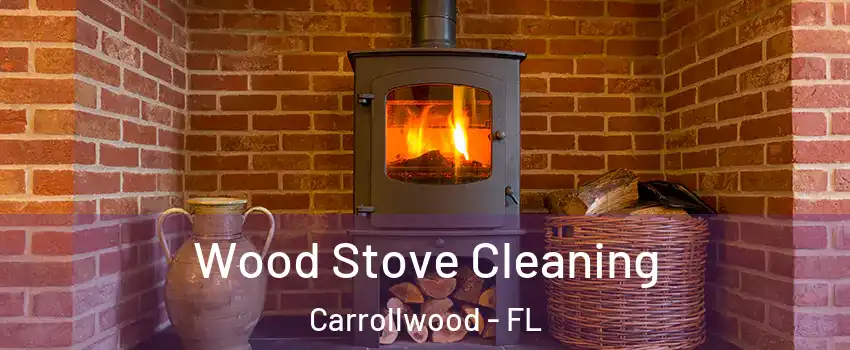  Wood Stove Cleaning Carrollwood - FL