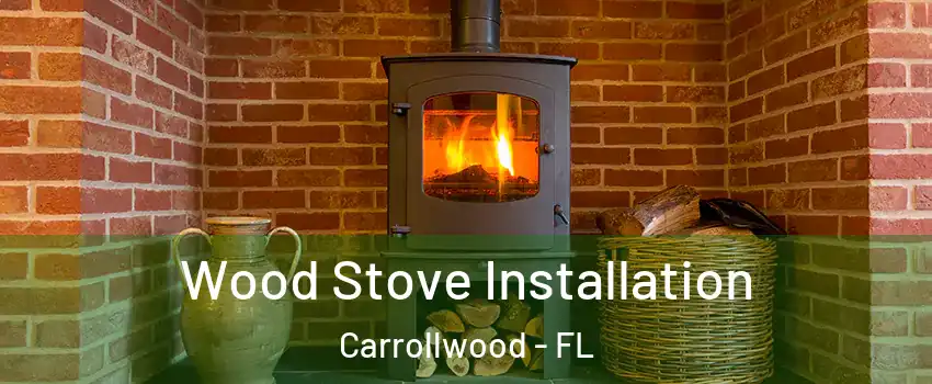  Wood Stove Installation Carrollwood - FL