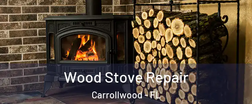 Wood Stove Repair Carrollwood - FL